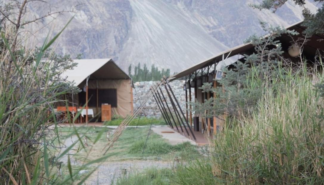Chamba Camp Diskit Nubra Exteriör bild