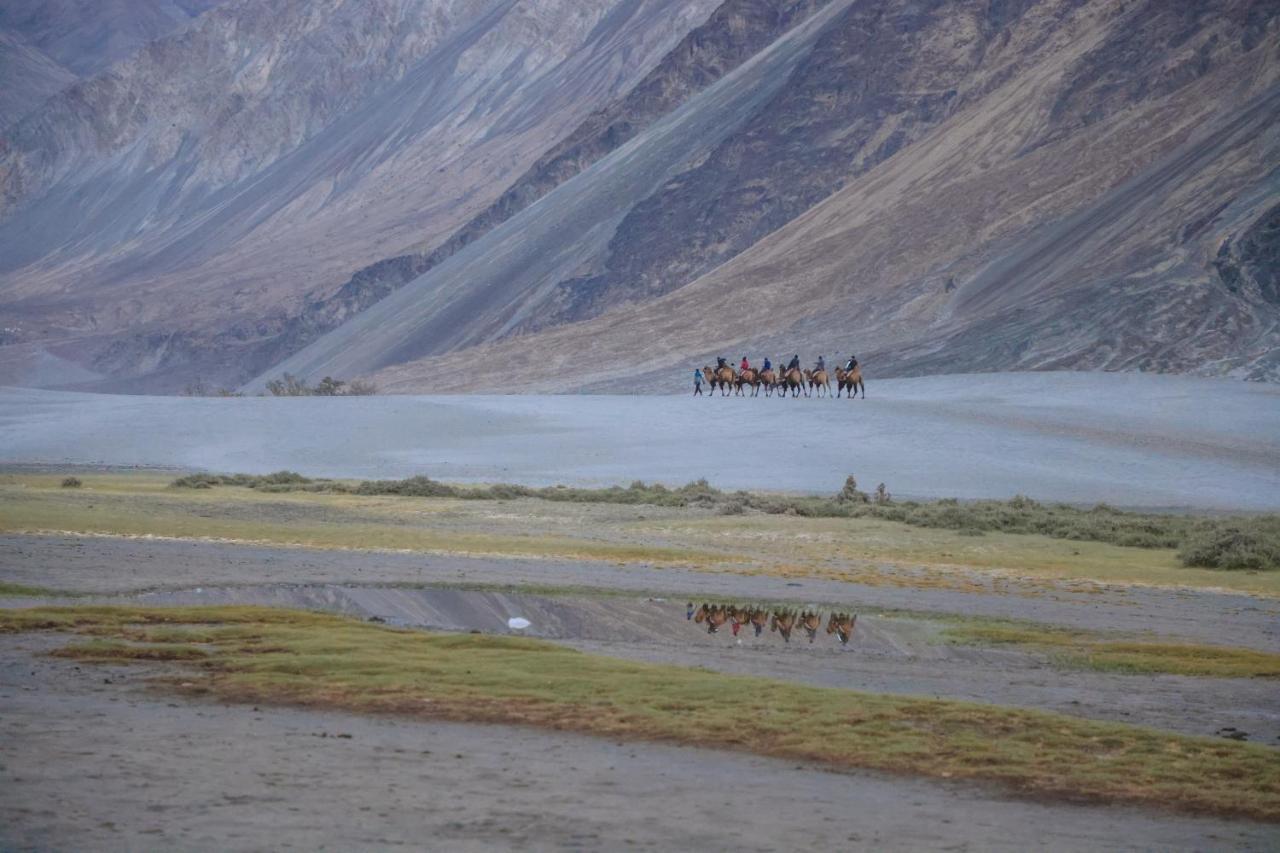 Chamba Camp Diskit Nubra Exteriör bild