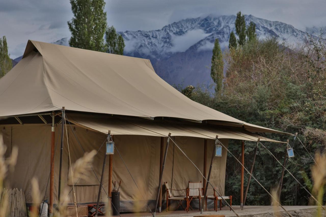 Chamba Camp Diskit Nubra Exteriör bild